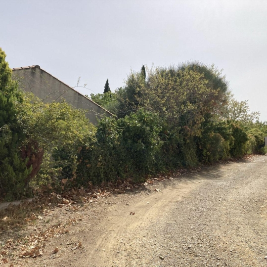  CKIEL IMMOBILIER : Terrain | GINESTAS (11120) | 150 m2 | 106 000 € 