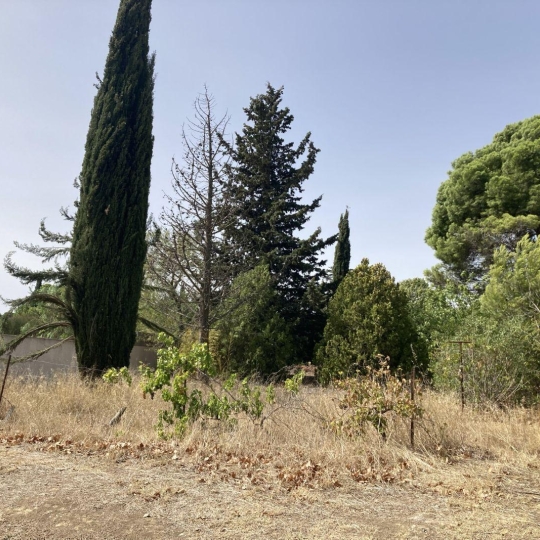 CKIEL IMMOBILIER : Terrain | GINESTAS (11120) | 150.00m2 | 106 000 € 