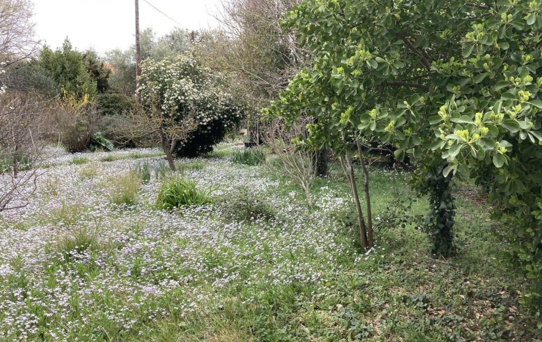 CKIEL IMMOBILIER : Maison / Villa | NARBONNE (11100) | 100 m2 | 252 000 € 