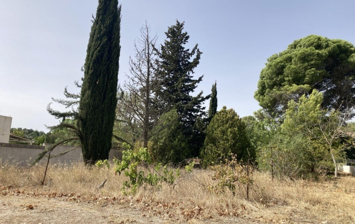  CKIEL IMMOBILIER Terrain | GINESTAS (11120) | 150 m2 | 106 000 € 